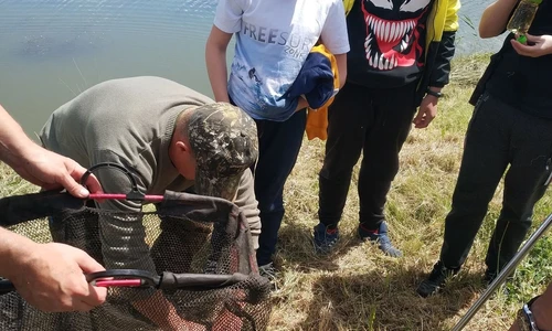 chłopcy uczą się wyjmować rybę z sieci